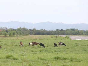 कैलालीको टीकापुर विमानस्थललाई स्तरोन्नती गरिने 